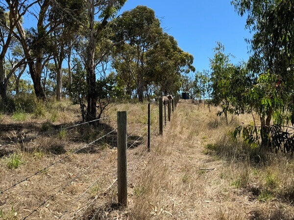 Image of fence construction