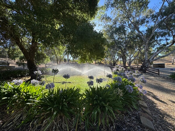Image of a garden irrigation system