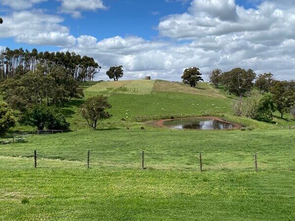 Image of a mown hillside